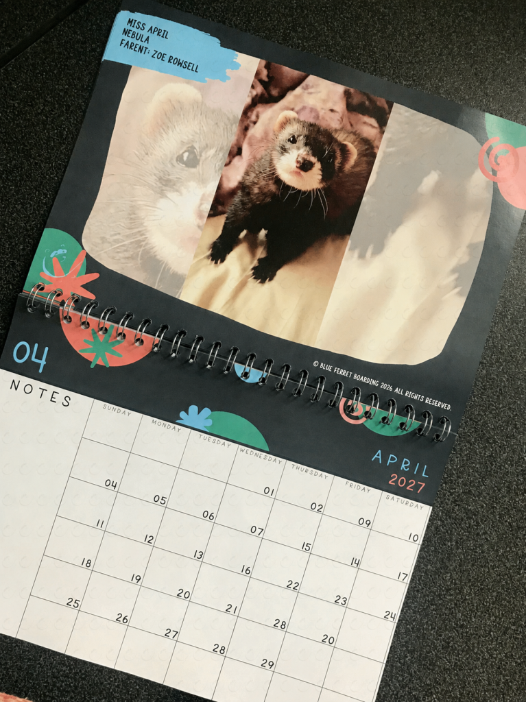 2027 Blue Ferret Boarding Calendar